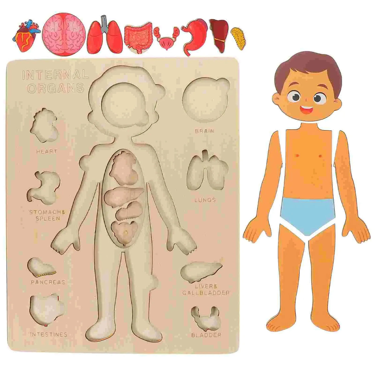 Juguetes Montessori de madera para niños: rompecabezas de órganos del cuerpo humano, juguete educativo para preescolar y jardín de infancia, actividades de aprendizaje y tablero de actividades (busy board).