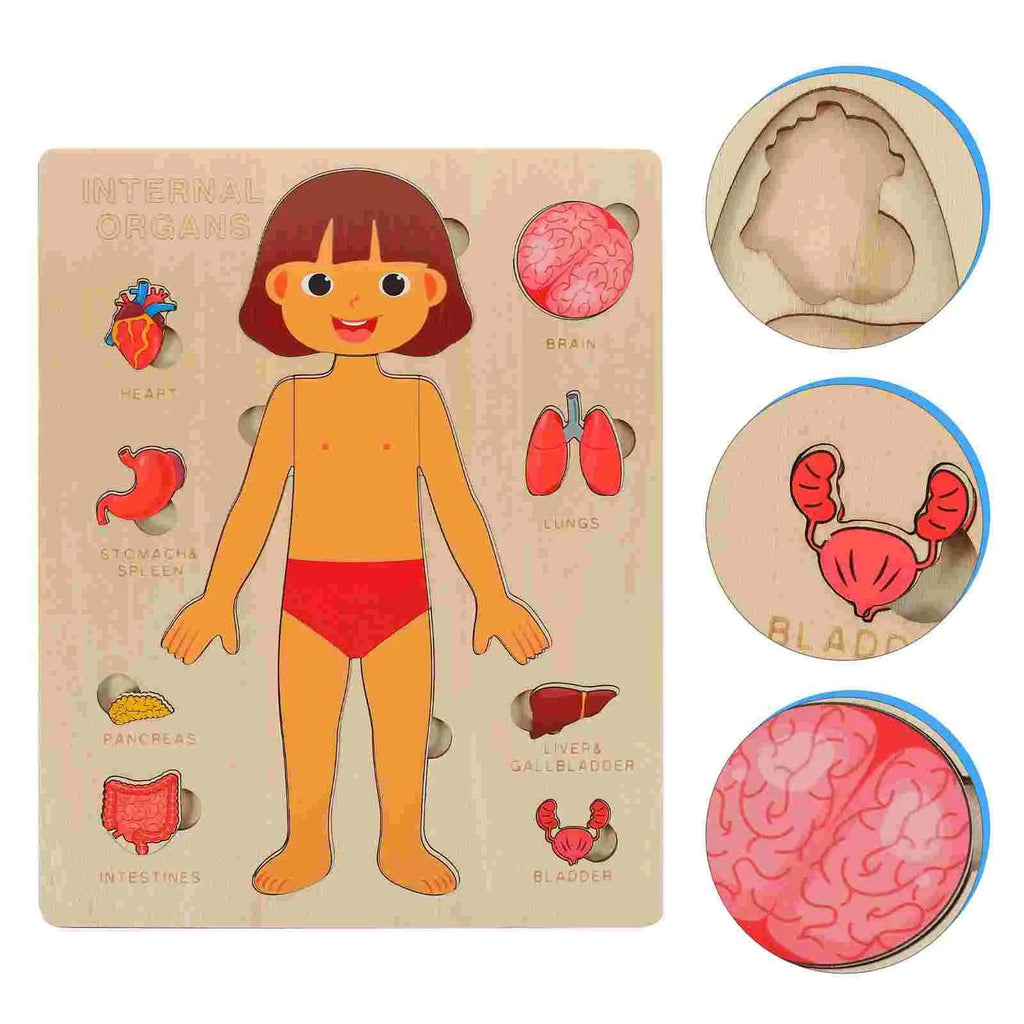 Juguetes Montessori de madera para niños: rompecabezas de órganos del cuerpo humano, juguete educativo para preescolar y jardín de infancia, actividades de aprendizaje y tablero de actividades (busy board).